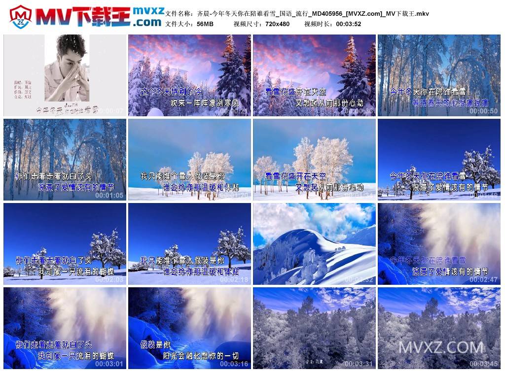 齐晨-今年冬天你在陪谁看雪_国语_流行_MD405956